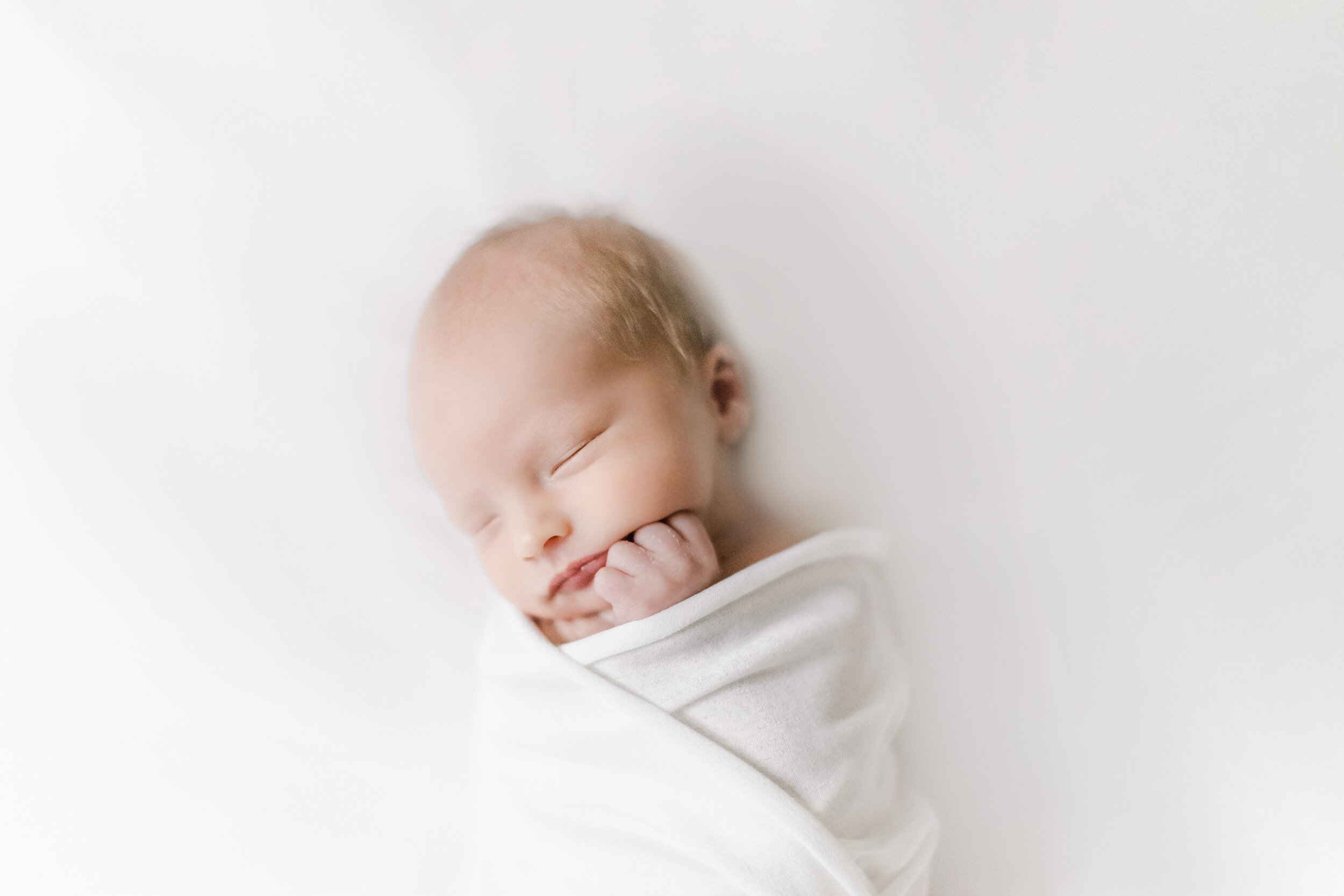 bentonville arkansas premier newborn photographer