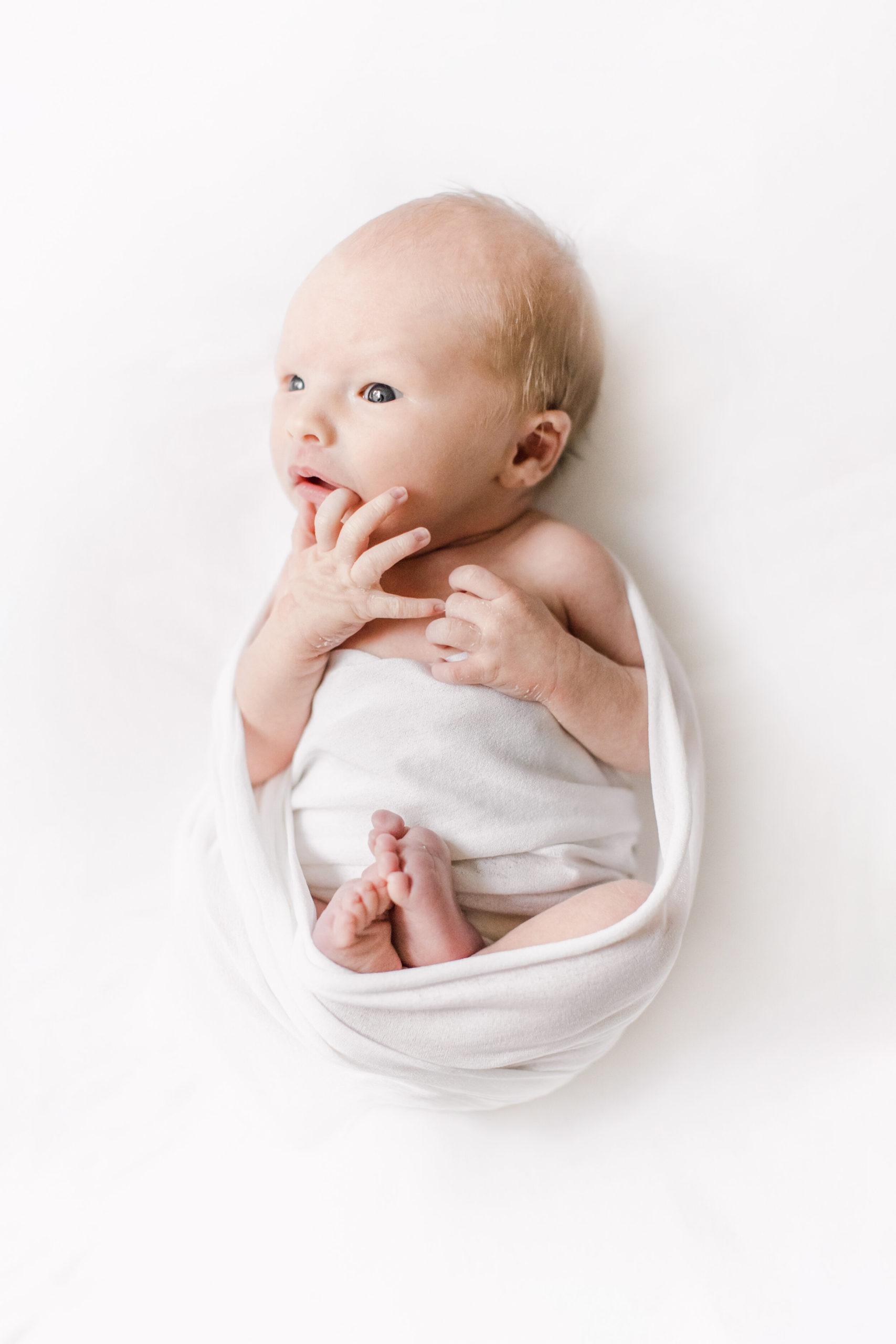 full service newborn portrait photography